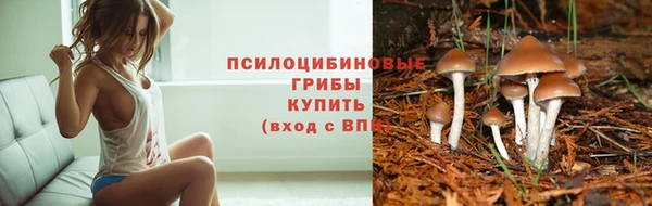 наркотики Кодинск