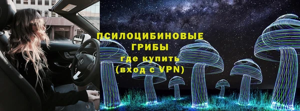 винт Козельск