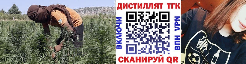 ТГК концентрат  Купить закладки  Краснознаменск 
