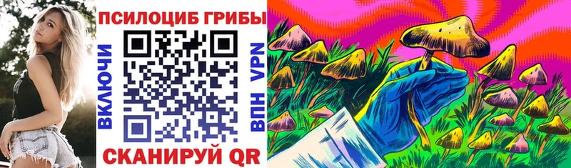 Купить закладки Краснознаменск Галлюциногенные грибы ЛСД